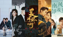 电视剧排名,盘点年度最受欢迎剧集TOP10